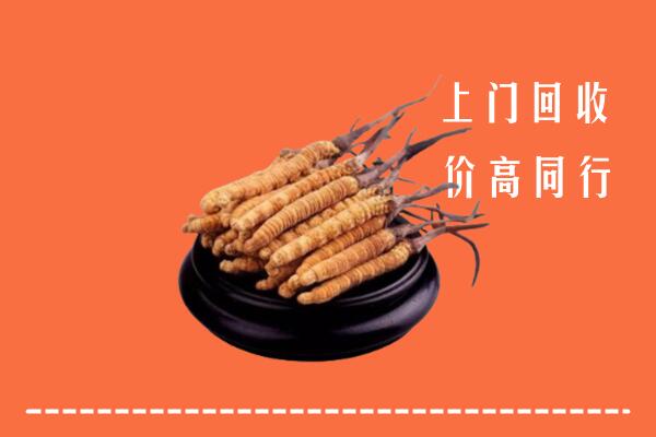 高价求购：平顶山市湛河区回收散虫草