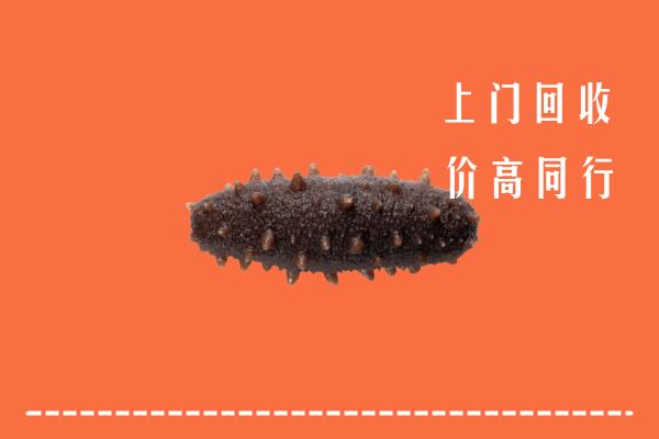 高价求购：平顶山市湛河区回收海参